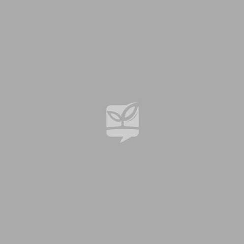 菲斯古城深度指南：蓝门、卡鲁因、皮革染坊怎么看，怎么不迷路、怎么请正规导游